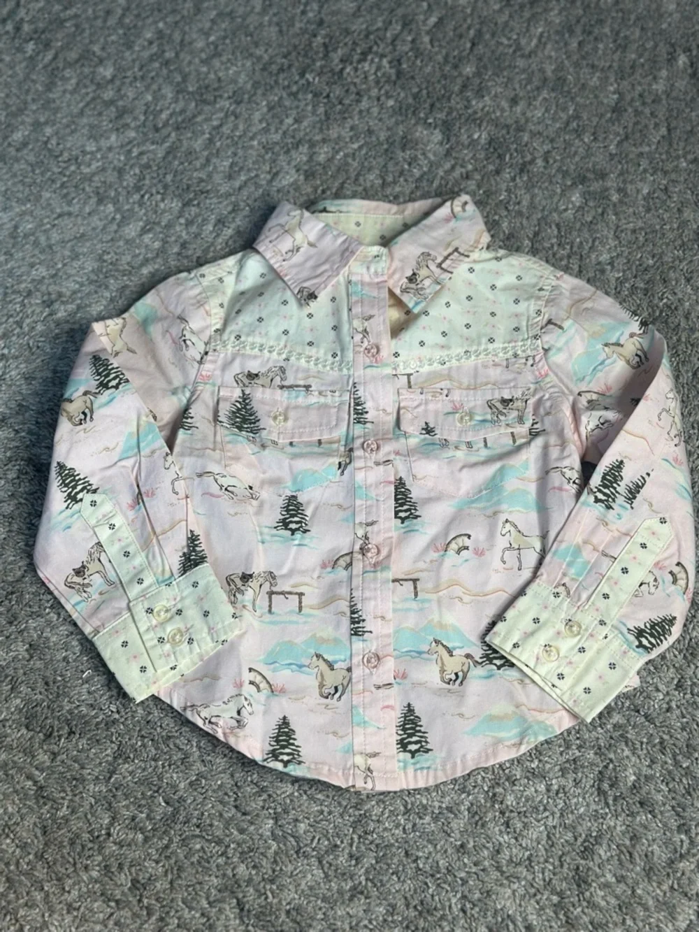 Gymboree Park City Luxe Western horse print button-down shirt 3 vintage 2006